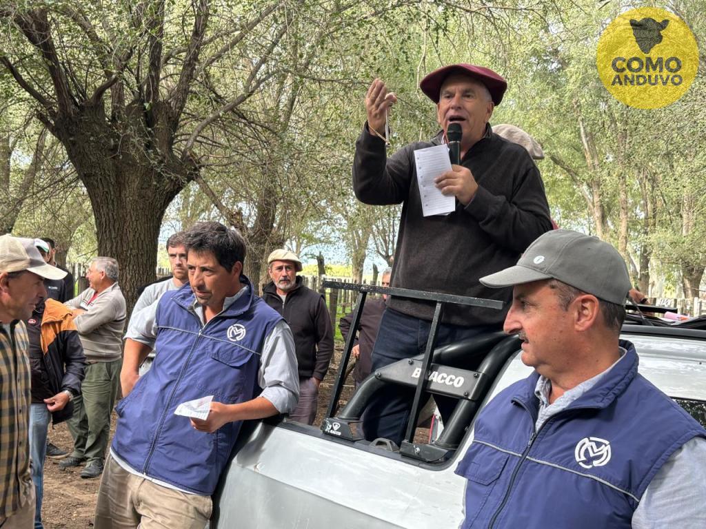 Marcos Matteucci Consignataria SRL